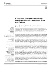 A Fast and Efficient Approach to Obtaining High-Purity Glioma Stem Cell Culture