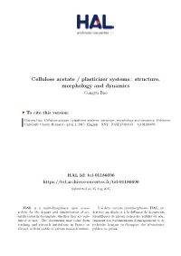 Cellulose Acetate / Plasticizer Systems: Structure, Morphology And