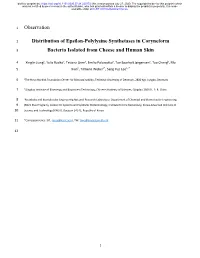 Distribution of Epsilon-Polylysine Synthetases in Coryneform Bacteria