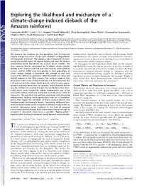 Exploring the Likelihood and Mechanism of a Climate-Change-Induced Dieback of the Amazon Rainforest