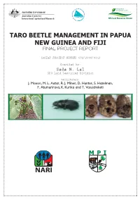 Taro Beetle Report