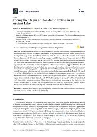 Tracing the Origin of Planktonic Protists in an Ancient Lake