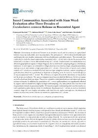 Insect Communities Associated with Siam Weed: Evaluation After Three Decades of Cecidochares Connexa Release As Biocontrol Agent