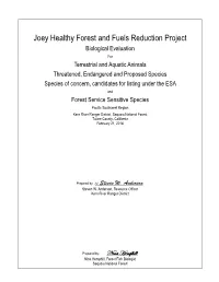 Joey Healthy Forest and Fuels Reduction Project