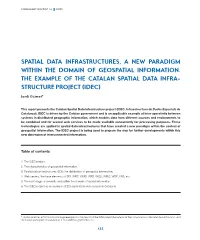 Spatial Data Infrastructures, a New Paradigm Within the Domain of Geospatial Information