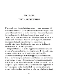 The Tooth Gets Short Shrift in Anatomy Class: We Spend All of Five Minutes on It