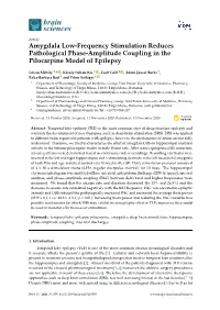 Amygdala Low-Frequency Stimulation Reduces Pathological Phase-Amplitude Coupling in the Pilocarpine Model of Epilepsy