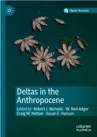 Deltas in the Anthropocene Edited by Robert J