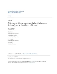 A Survey of Kiloparsec-Scale Radio Outflows in Radio-Quiet Active Galactic Nuclei Jack F
