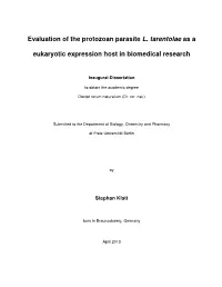 Expression and Evaluation of Medically Relevant Proteins In