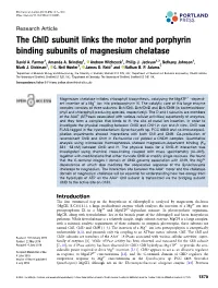 The Chld Subunit Links the Motor and Porphyrin Binding Subunits of Magnesium Chelatase