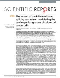 The Impact of the RBM4-Initiated Splicing Cascade on Modulating The
