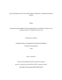 Antiluteogenic Effects of Serial Prostaglandin F2α Administration in Mares