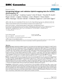 Integrating Linkage and Radiation Hybrid Mapping Data for Bovine