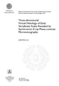 Three-Dimensional Virtual Histology of Early Vertebrate Scales Revealed by Synchrotron X-Ray Phase-Contrast Microtomography