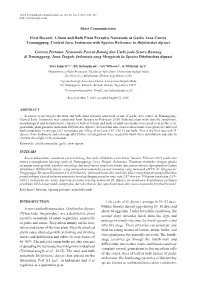 First Record: a Stem and Bulb Plant Parasitic Nematode at Garlic Area Centre Temanggung, Central Java, Indonesia with Species Reference to Ditylenchus Dipsaci