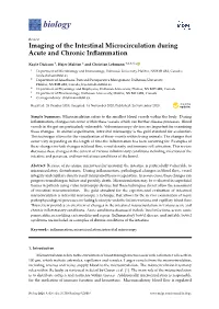 Imaging of the Intestinal Microcirculation During Acute and Chronic Inﬂammation