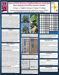 Improved ELISA Detection of Xylella Fastidiosa in Woody Plant Tissue Using Sap Extracted by a Pressure Chamber J