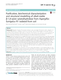 Purification, Biochemical Characterization and Structural Modelling of Alkali-Stable Β-1,4-Xylan Xylanohydrolase from Aspergill