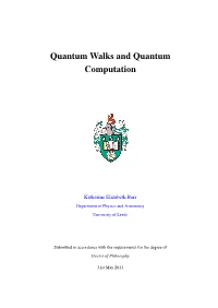 Quantum Walks and Quantum Computation