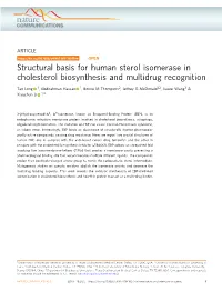 Structural Basis for Human Sterol Isomerase in Cholesterol Biosynthesis and Multidrug Recognition