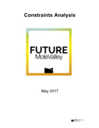 Constraints Analysis