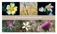 Nevada Noxious Weed Field Guide