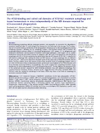 The ATG5-Binding and Coiled Coil Domains of ATG16L1 Maintain