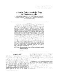 Arterial Patterns of the Face in Perissodactyla