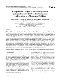 Comparative Analysis of Protein Expression Concomitant with DNA Methyltransferase 3A Depletion in a Melanoma Cell Line
