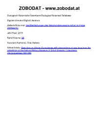 New Data on African Eumolpinae with Descriptions of New