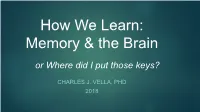 How We Learn: Memory & the Brain