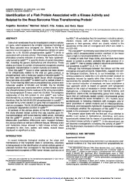 Identification of a Fish Protein Associated with a Kinase Activity and Related to the Rous Sarcoma Virus Transforming Protein1