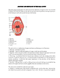 Cavitas Oris) Is the Initial Part of the Alimentary Or Digestive Tract