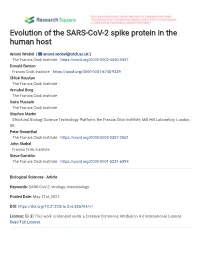 Evolution of the SARS-Cov-2 Spike Protein in the Human Host