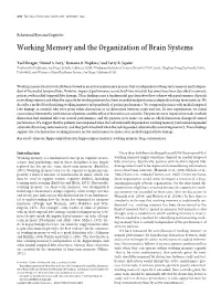 Working Memory and the Organization of Brain Systems