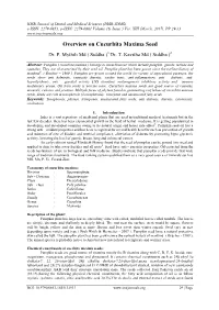 2. Mythili P, Kavitha T. Overview on Cucurbita Maxima Seed