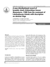 A New Distributional Record of Bramble Shark Echinorhinus Brucus (Bonnaterre, 1788) from the Seamount of Lakshadweep Islands with Description on Skeletal Rings