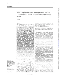 And the CCN Family of Genes: Structural and Functional Issues