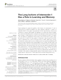 The Long Isoform of Intersectin-1 Has a Role in Learning and Memory