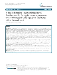 A Detailed Staging Scheme for Late Larval Development In