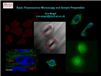 Basic Fluorescence Microscopy and Sample Preparation