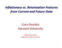 Inflationary Vs. Reionization Features from Current and Future Data