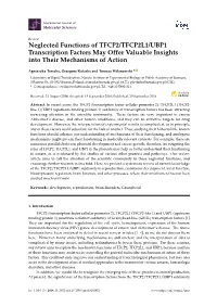 Neglected Functions of TFCP2/TFCP2L1/UBP1 Transcription Factors May Offer Valuable Insights Into Their Mechanisms of Action