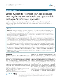 Single Nucleotide Resolution RNA-Seq Uncovers New Regulatory Mechanisms in the Opportunistic Pathogen Streptococcus Agalactiae