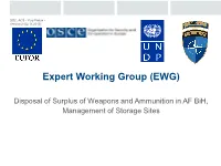 Expert Working Group (EWG)