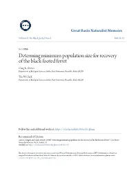 Determing Minimum Population Size for Recovery of the Black-Footed Ferret Craig R