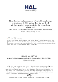 Identification and Assessment of Variable