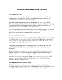 The Visual System: Higher Visual Processing