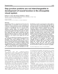 Innexin Specificity in Neural Development